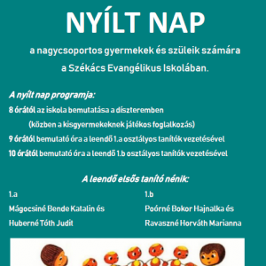 Nyílt nap